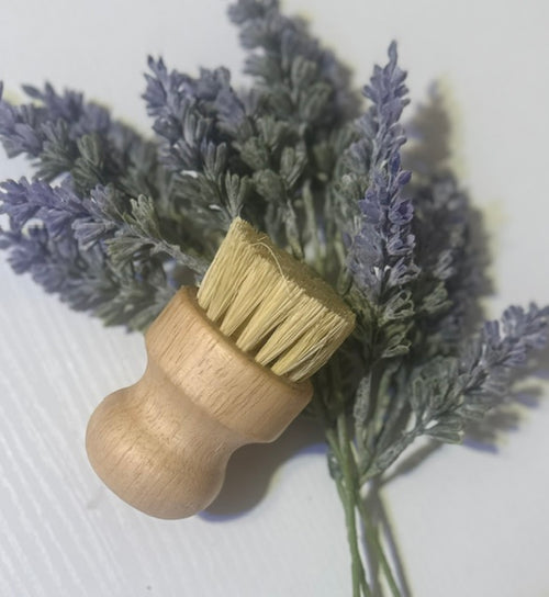Bamboo Dish Brush
